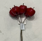 Apple pick, 6 pcs